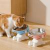 Non-Slip Base Elevated Pet Bowl Detachable Cat Feeding Bowl Cat Food Water Bowl Dog Feeding
