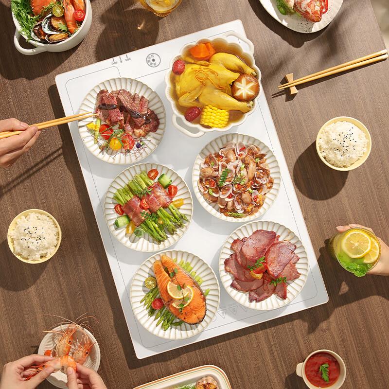 Shengbai Electric Food Warmer Tray