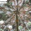 Heavy-Duty Camouflage Outdoor Umbrella