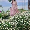 French First Love Sakura Pink Spaghetti Strap Dress for Women, Summer Blended Floral Irregular Hem Vacation Long Dress