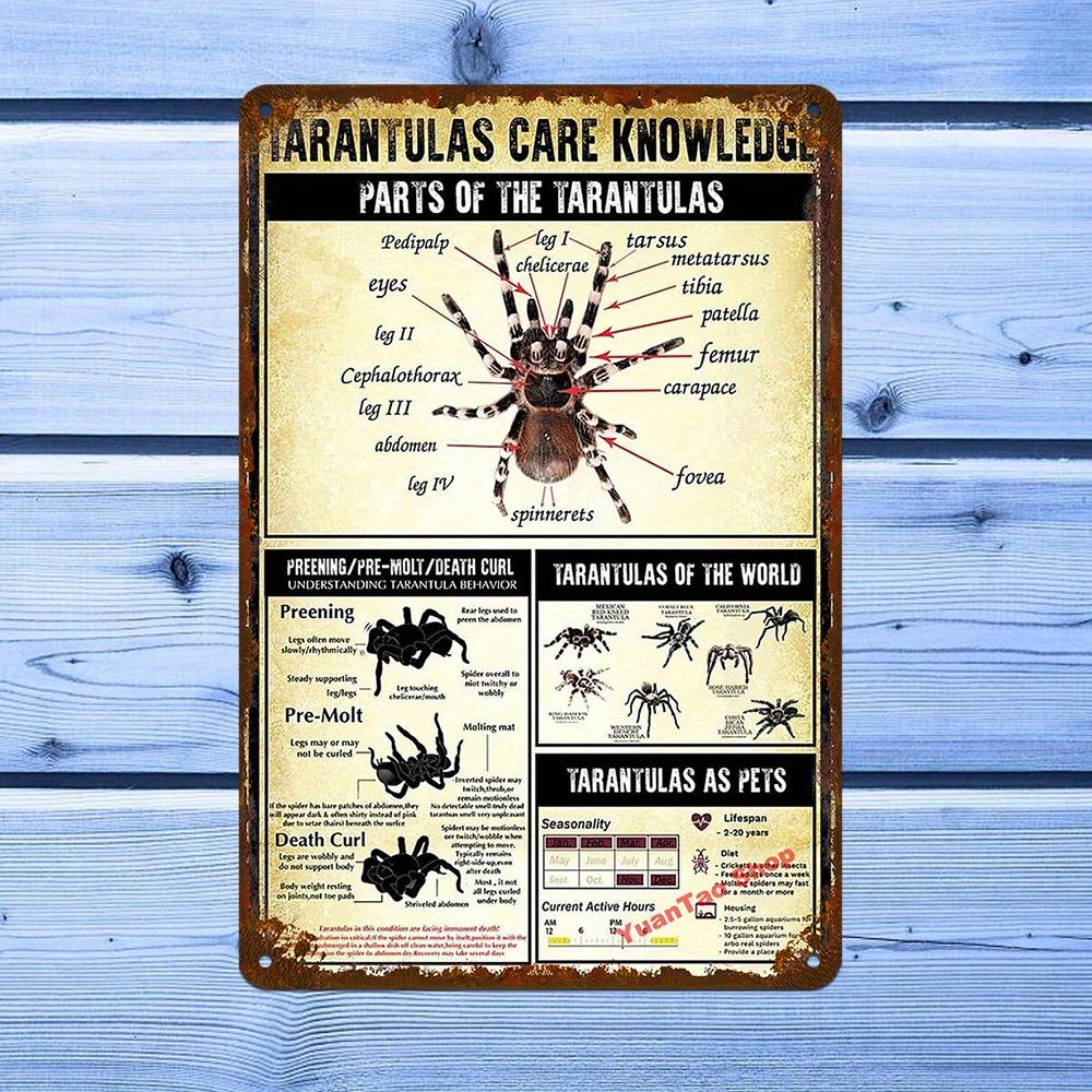 D Flat Vintage Tarantula Anatomy Metal Sign UV Printed Iron Wall Decor Educational Durable with PreDrilled Holes