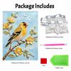 Frameless DIY Pearl Bead Painting Kit Songbird Pattern Creative Relaxing Craft Canvas Home Decor Adult Gift
