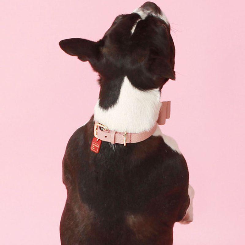 MAISON DE MIU Soft Ribbon Collar M_Rose Pink