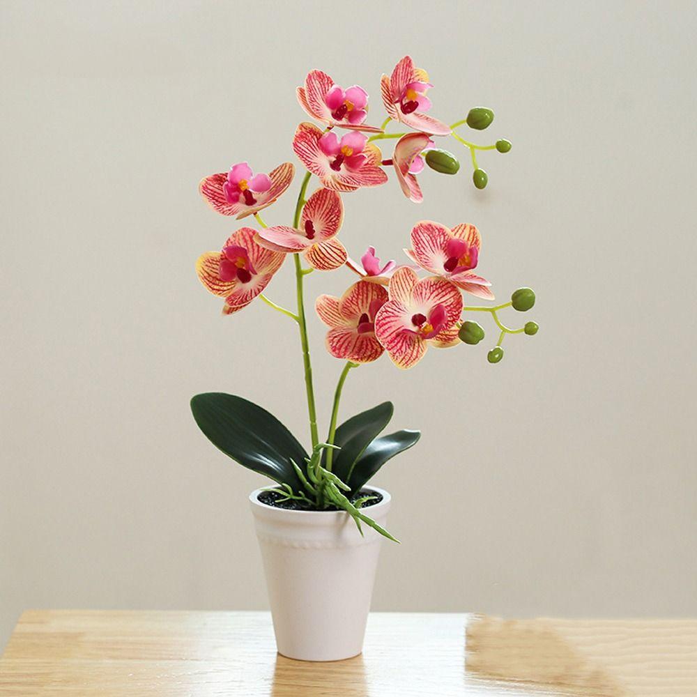 Vivid Simulation Phalaenopsis Real Touch Artificial Orchid Flower  Bedroom