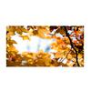 Fluorescent Light Cover with 10 Magnets Exquisite Pattern Easy Installation Fluorescent Light Filter Magnetic Ceiling Light Cover