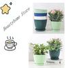 Plastic Indoor Planter Flower Pots Round Planters Succulents Plant Pot with Tray Office Desktop Decoration Home Outdoor Potted