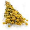 Dried Globe Gomphrena - (Spherical Wiecznik) - Yellow