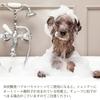 DOGGY POTION Dog Conditioner and for Sensitive Green Apple Natural Fresh Shampoo for Dogs and Large Dilutable Veterinarian-Recommended Treatment,