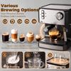 Espresso Machine, 20-Bar Coffee Machine with Milk Frothing Nozzle, 1.6L Water Tank, Black