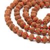 10 Mukhi Indonesian Rudraksha Mala 108+1 Beads |Spiritual Healing Necklace| Meditation Yoga Mala |Authentic Rudraksha Mala for Men & Women