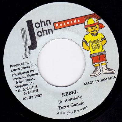 7-Zoll Schallplatte TERRY GANZIE - Rebel NONE John John Recor 1992 Jamaika Reggae, Ska & Dub Gebraucht
