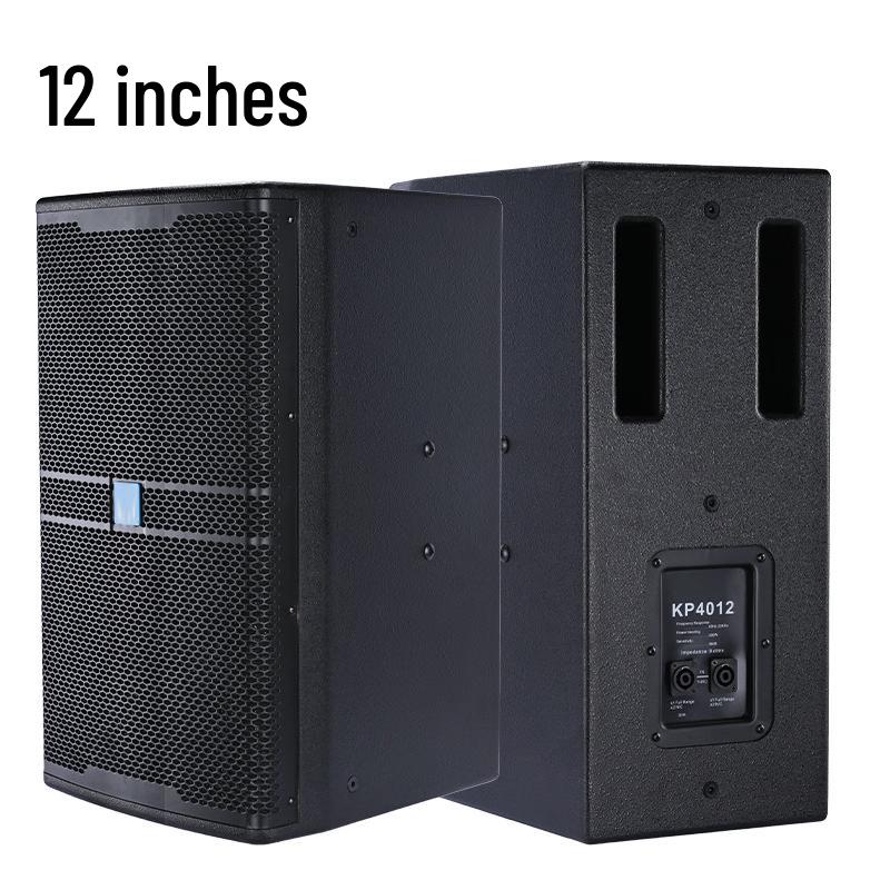 CTRLPA Professional Full-Range Speaker