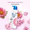 Head & Shoulders Anti-Dandruff Gentle & Fresh Shampoo