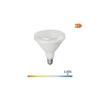 Ampoule Par38 Led E27 15w 1200lm 6400k Lumière Froide Ip64 ø12x13,8cm Edm