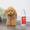 Weika Beibei Poodle Ragdoll Pet Dog Doll Pillow Plush Toy Animal Doll Birthday Gift