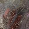 160cm*1 Yard Sequin Texture Mesh Fabric Shiny DIY Lace Sparkle Tulle Wear-Resistant Sewing Material Dance Tutu Decor Props