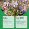 Plant Root Nutrients: Supplementing Plant With Nutrients For Daily Care And Promoting Natural Growth50ml