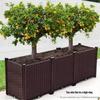 Extra Large Yellow-Edged Rooftop & Balcony Vegetable Planter Box