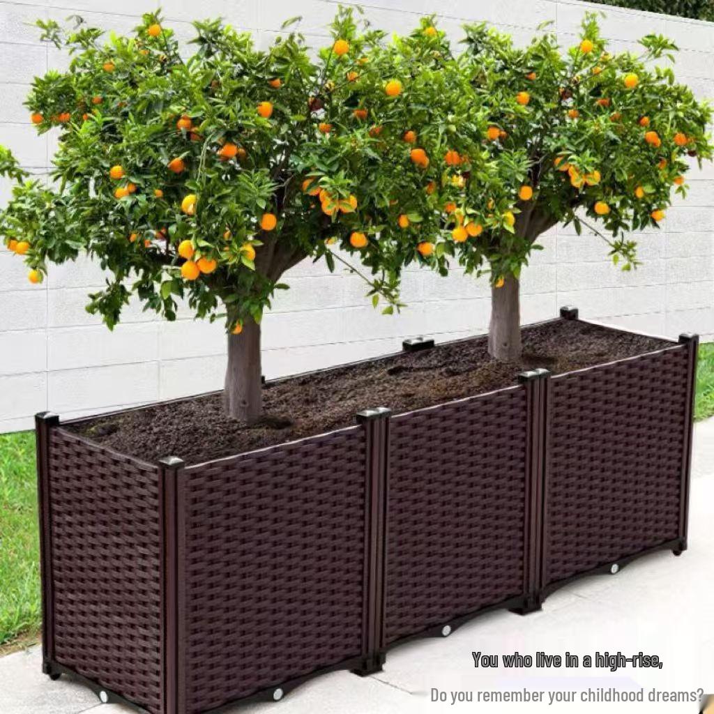 Extra Large Yellow-Edged Rooftop & Balcony Vegetable Planter Box