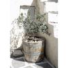 Mediterranean Italy Landscape Olive Trees Countryside Tourism Natural Scenery Posters Canvas Painting Wall Picture Home Decor