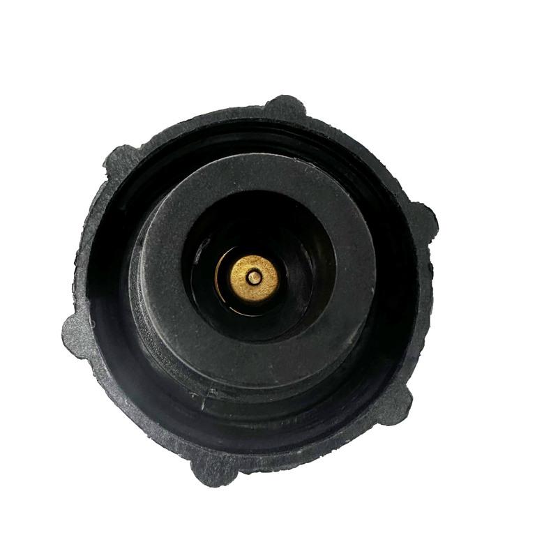 For JAC Sunray Expansion Water Bottle Lid Auxiliary Water Bottle Lid Water Tank Lid Auxiliary Water Bottle Lid S13110010-D2
