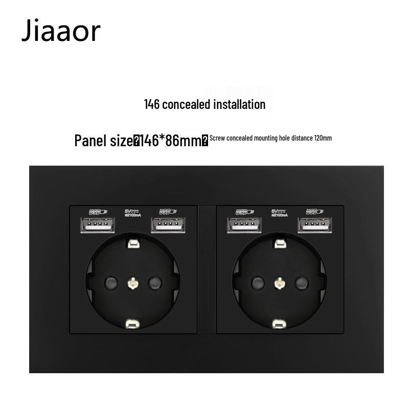 16A Black European Double Gang German-Style Switch & USB/Type-C Socket for Concealed Installation