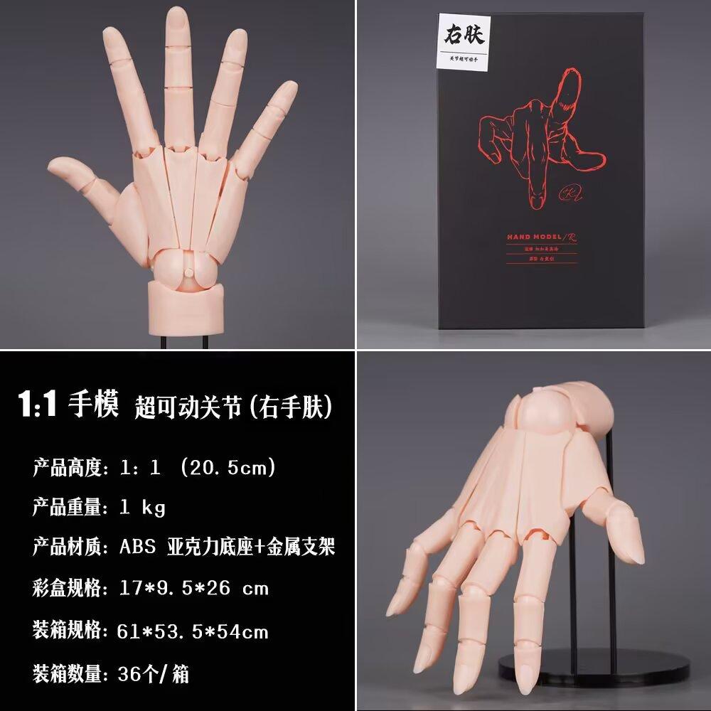 Super Movable 1:1 Hand Model, Finger Joint, Bionic, Painting Plain Art, Model Ornament Boxed Figure