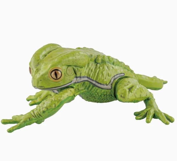 

Японская Оригинальная Капсульная Игрушка Гача Масштабная Миниатюрная Симуляция Амфибия Лягушка Эмуляционная Настольная Декорация Фигурка Действия Игрушки