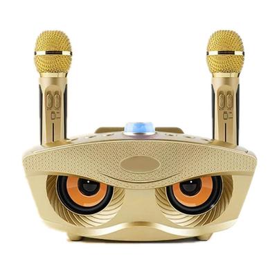 SD306 Głośnik Sowa z Dwoma Mikrofonami 2 w 1 Przenośny Głośnik Bluetooth z Dwoma Mikrofonami dla