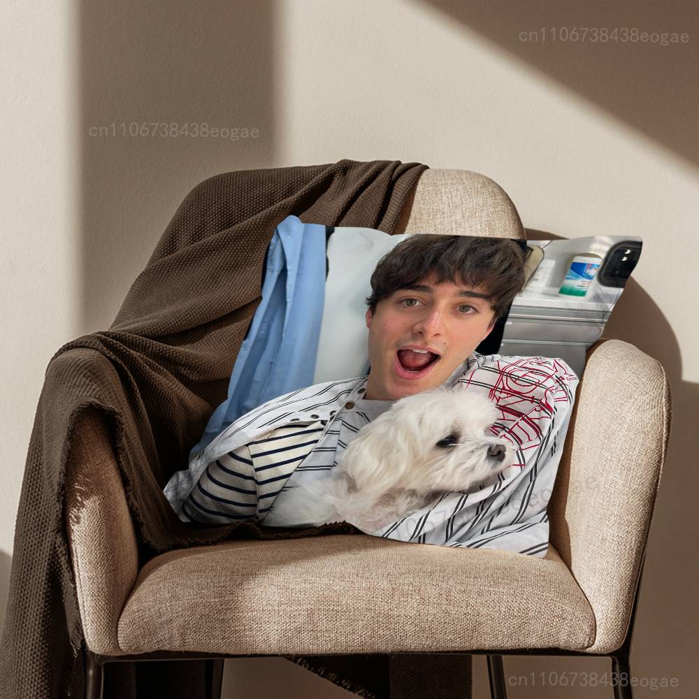 Actor N-Noah S-Schnapp Pillow Case Living Room Sofa Cushion Cover Suitable For Home Bedroom Decoration And Protector