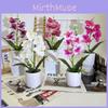 Butterfly Artificial Orchid Flower Bouquet For Home Decor And Event Arrangements