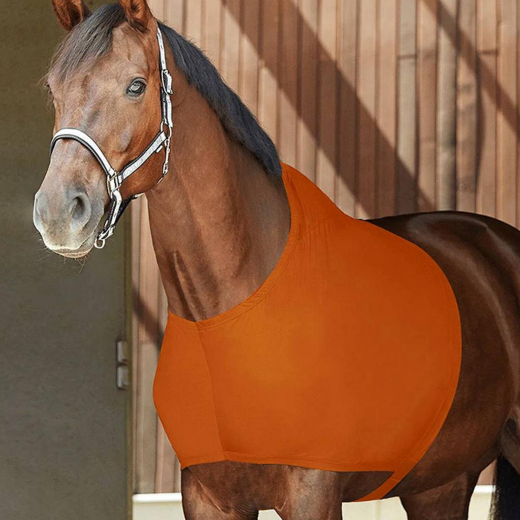 Protège-épaule de cheval Léger Couvre-cou de cheval Creature Gear Respirant Évacuant l'humidité