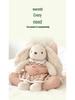 Three-Color Rabbit Plush Doll: Cute, Detachable, Soothing Toy for Kids & Girlfriends, Perfect Birthday Gift