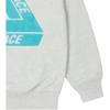 Palace Spring 2023 Tri-Ferg Fleece Crewneck Sweatshirt Unisex Tops Grey PLC23030