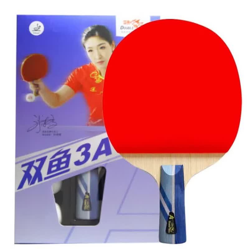Double Fish 3-Star Beginner Penhold Table Tennis Racket