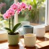 Nordic Style Succulent Flower Pot