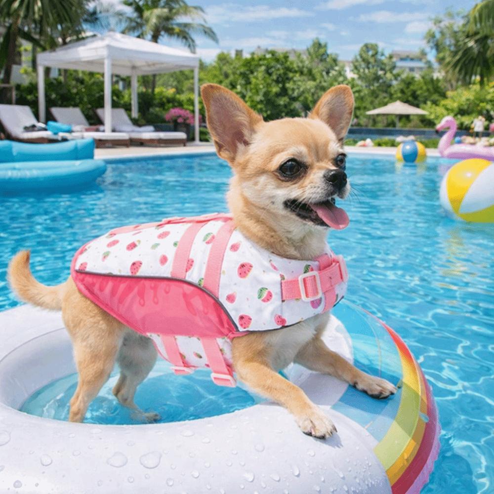 Secure Fit Dog Life Jacket Adjustable High Flotation Life Vest Dog Swim Suit Small Medium Dogs