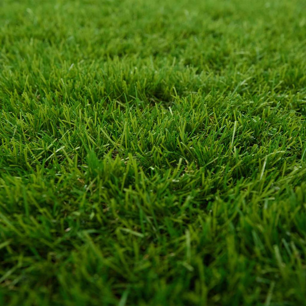 Artificial Grass Green 1 x 8 m 50 mm PP and PE