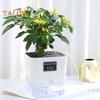 Self Watering Plant Pot with Drainage Holes High Strength Reusable Easy Care Visible Reservoir Indoor Outdoor Planter Pot Flower Vase