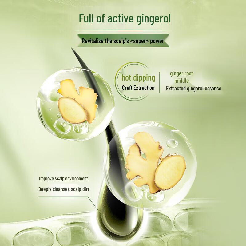 Schwarzkopf Ginger Essence Oil Control Anti-Dandruff Shampoo Set