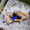 Fashionable Jewelry Sorting Tray Household Accessories Organizer Stylish Fish Shaped Accessory Holder for Home Use