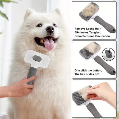 Perros – Productos de peluquería canina