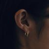 Small Oval Hoops