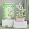 MOC Blume Sukkulente Topfpflanze Modellbaustein DIY Ewiger Strauß Zuhause Schreibtisch Pflanzen Dekoration Ziegel Mädchen Geschenk Kinderspielzeug