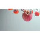 Red Food Collagen Toner 500ml