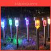 Attractive Solar Led Path Lights For Outdoor Spaces With Premium Stainless Steel And Timeless Style