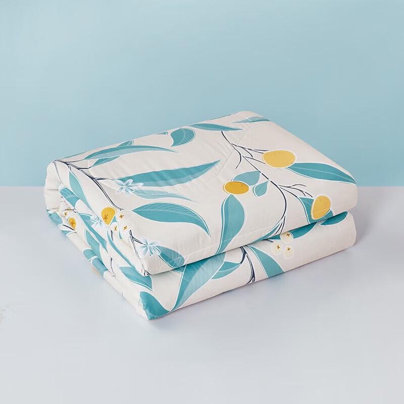 Luolai Super Soft All-Season Quilt