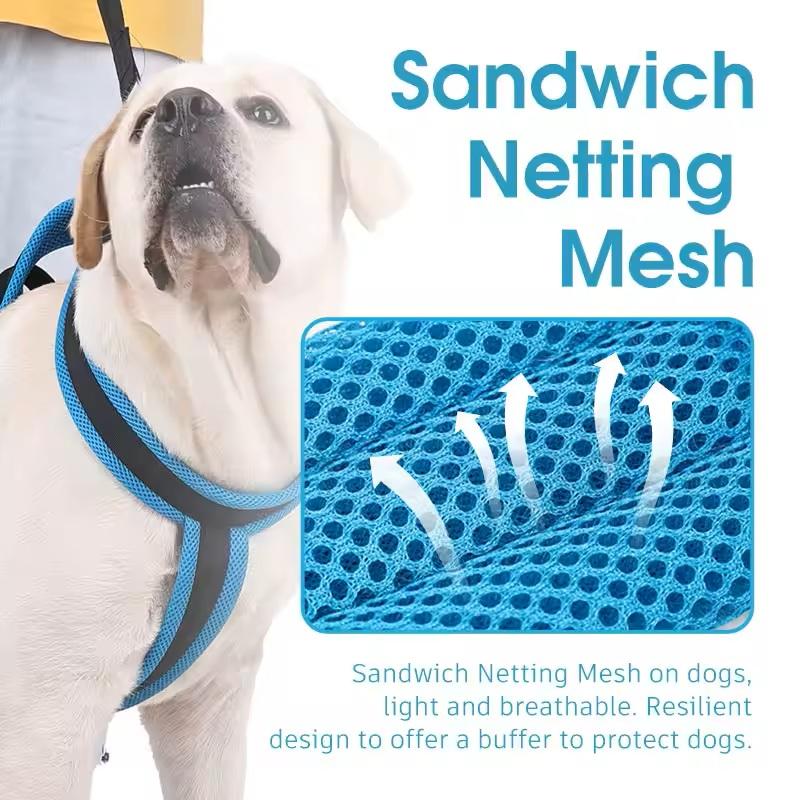 Portable Dog Auxiliary Belt Breathable Pet Lift Harness Sling Support Repair Function for Disabled Dogs Help Rehabilitation