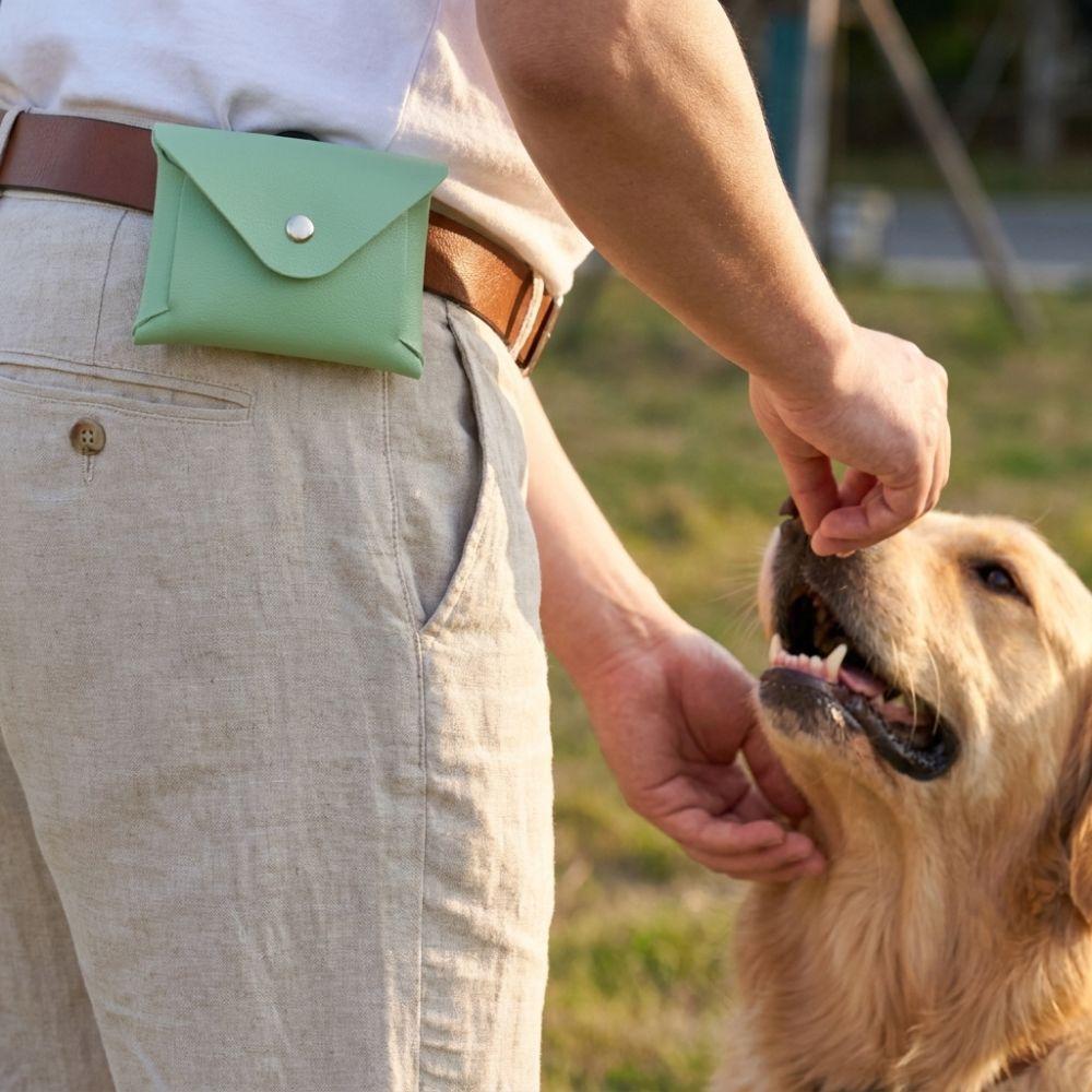 Shockproof Dog Training Snack Bag Clip on Dog Treat Holder Walking Snack Bag Outdoor Walking