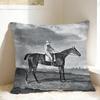 Pillow Cover Equestrian  Kawaii Pillow Case For Sofa Car Home Decor Pillowcases